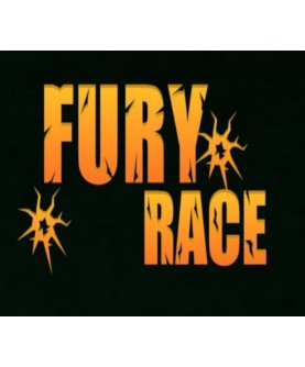 Fury Race Steam Key GLOBAL